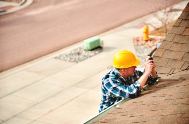 Best Roof Gutter Cleaning  in Royalton, IL