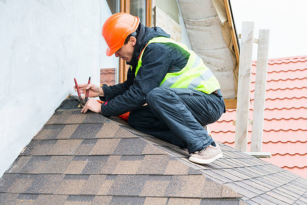 Best Metal Roofing Contractor  in Royalton, IL