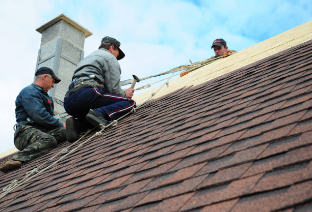 Best Emergency Roof Repair  in Royalton, IL